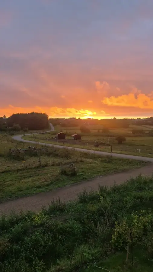 Solnedgang om sommeren